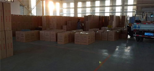 塑料格柵與土工模袋 廠家直銷(xiāo)的高效工程材料選擇