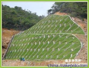 鹽城護坡土工網產品促銷精選圖集與泰安鑫海PE膜專業解析